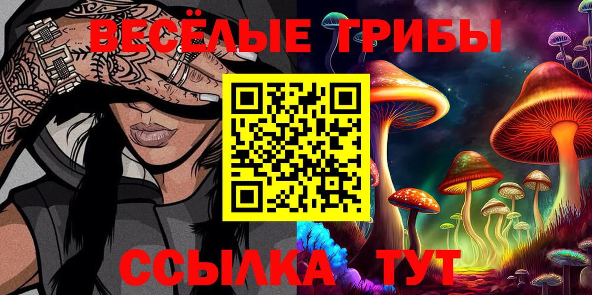 Псилоцибиновые грибы Psilocybine cubensis Мурино