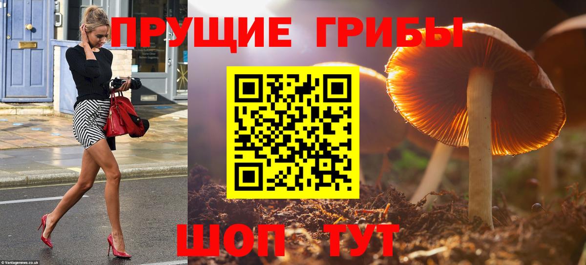 Галлюциногенные грибы Psilocybe  Вход с VPN  Мурино  Псилоцибиновые грибы MAGIC MUSHROOMS 